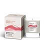 Wild Scottish Raspberry Soy Wax Candle