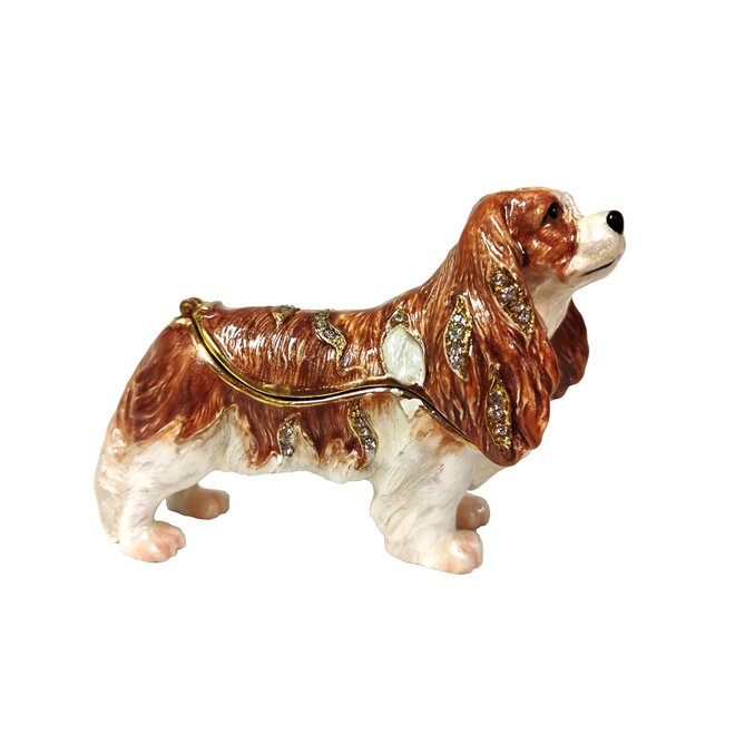 Kingspoint Designs King Charles