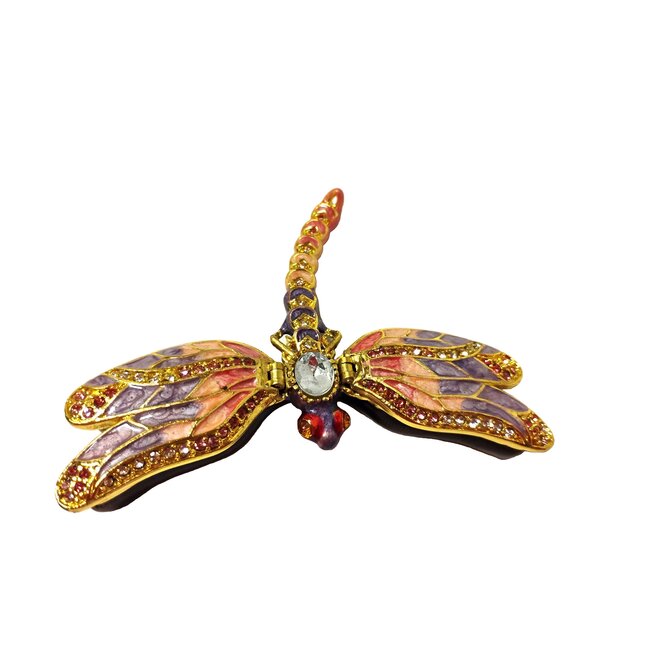 Kingspoint Designs Beautiful Dragonfly
