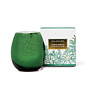 White Spruce Holiday Edition Candle