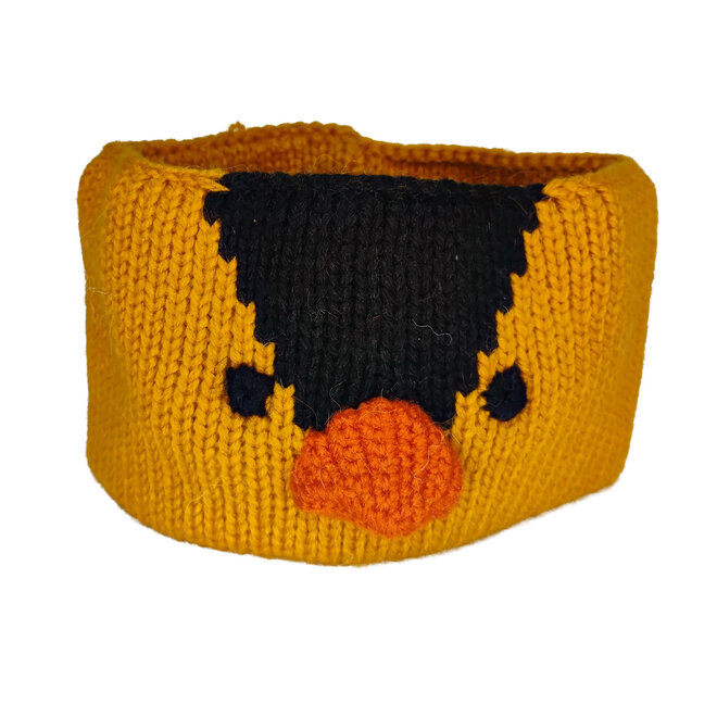 Finch Headband