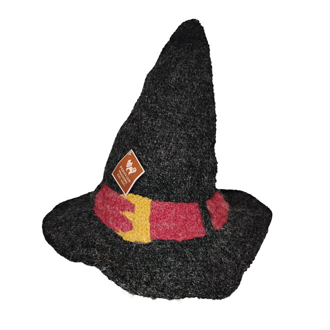 Wizard of Oz Witch Hat