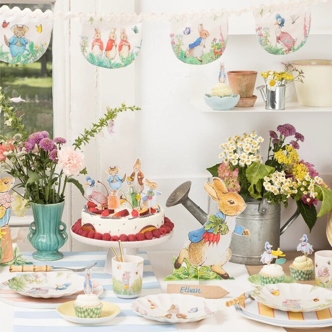 Peter Rabbit Melamine Side Plates Set
