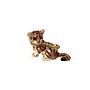 Kingspoint Designs Shrewd Tigress