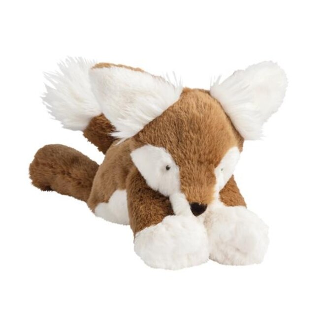 Floyd the Fox