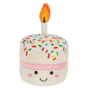Birthday Bright Cake