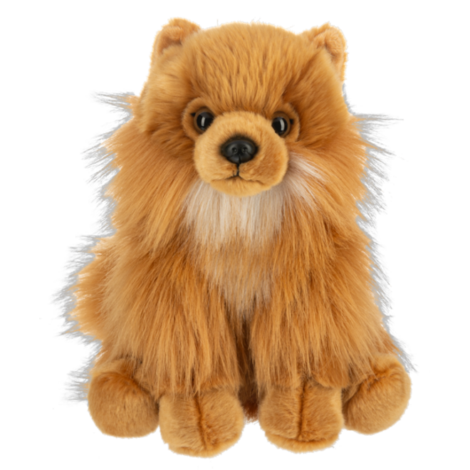 Heritage Collection Pomeranian