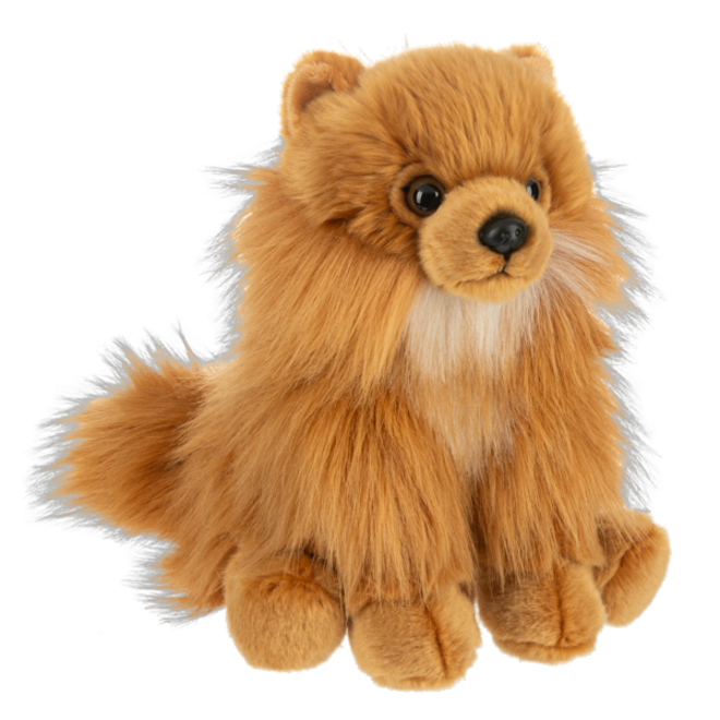 Heritage Collection Pomeranian