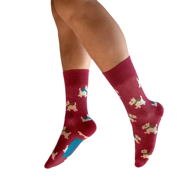 Woolly Westie Men's Socks
