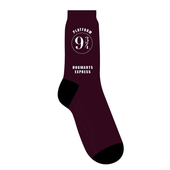Harry Potter Platform 9 3/4 T-Shirt & Socks