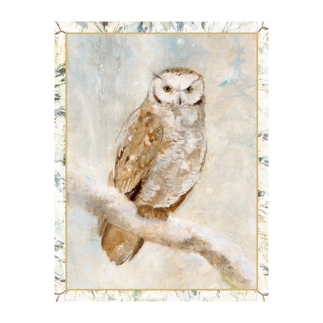 Owl In Winter Boxed Christmas Cards