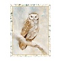 Owl In Winter Boxed Christmas Cards