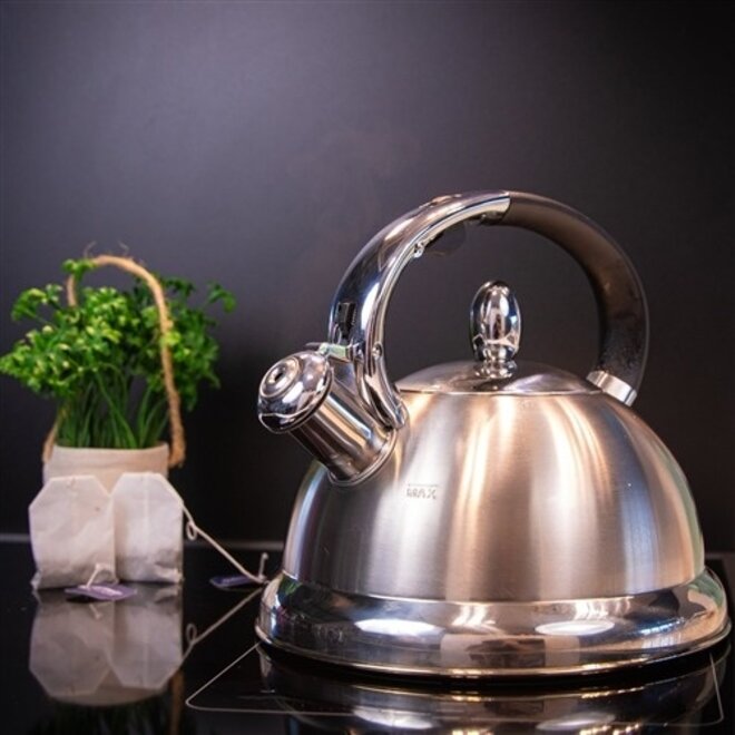 Conte Whistling Water Kettle
