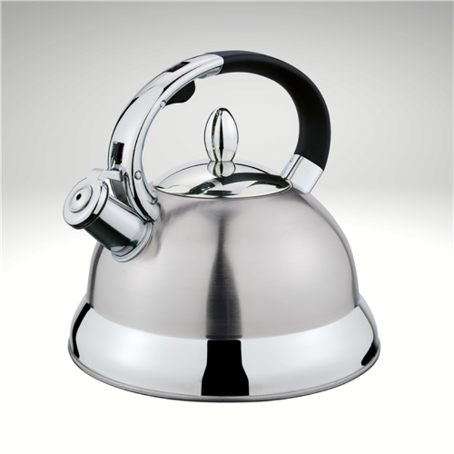 Conte Whistling Water Kettle