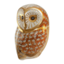 Barn Owl