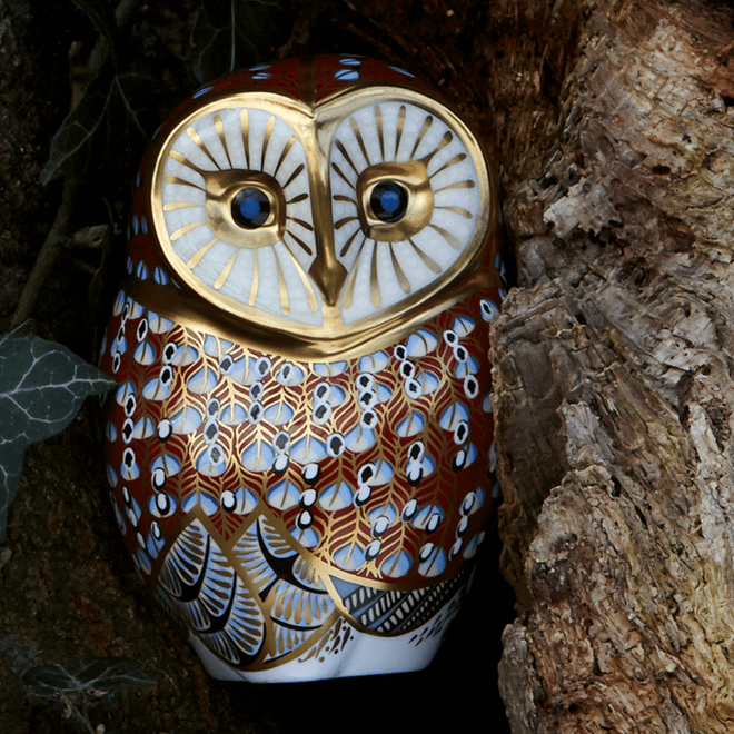 Barn Owl
