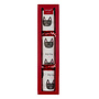 Pet Cat Christmas Cracker