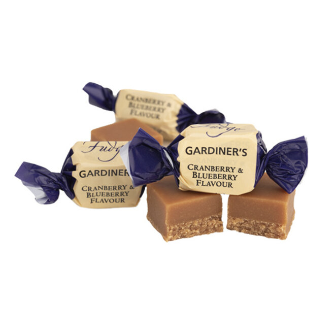 Cranberry & Blueberry Fudge Christmas Carton