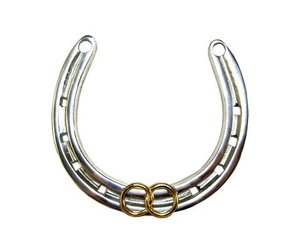 wedding horseshoe