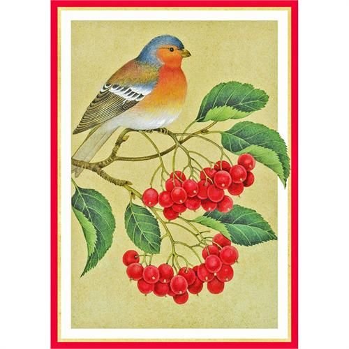 Caspari Caspari Christmas Cards - Bird and Berries Caspari Caspari Christmas Cards - Bird and Berries