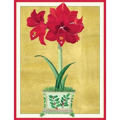 Caspari Caspari Christmas Cards - Red Amaryllis Caspari Caspari Christmas Cards - Red Amaryllis