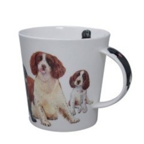 Dunoon Dunoon Cairngorm Dogs & Puppies - Spaniel Dunoon Dunoon Cairngorm Dogs & Puppies - Spaniel