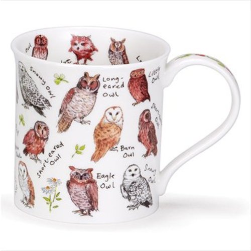 Dunoon Dunoon Bute Birdlife Garden Owls Mug Dunoon Dunoon Bute Birdlife Garden Owls Mug
