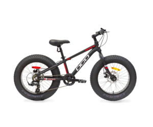 dco fat bike