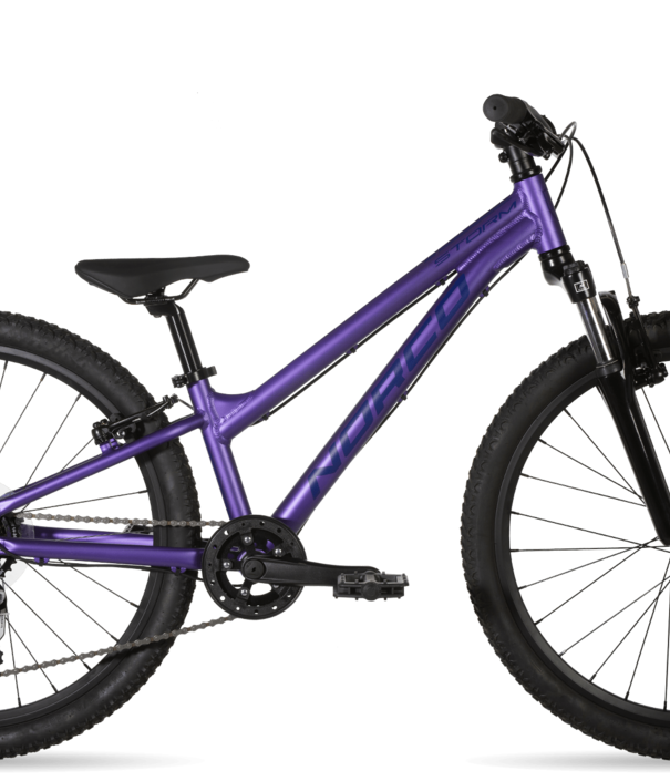 2020 Norco Storm Alu 4.2 - Taille 