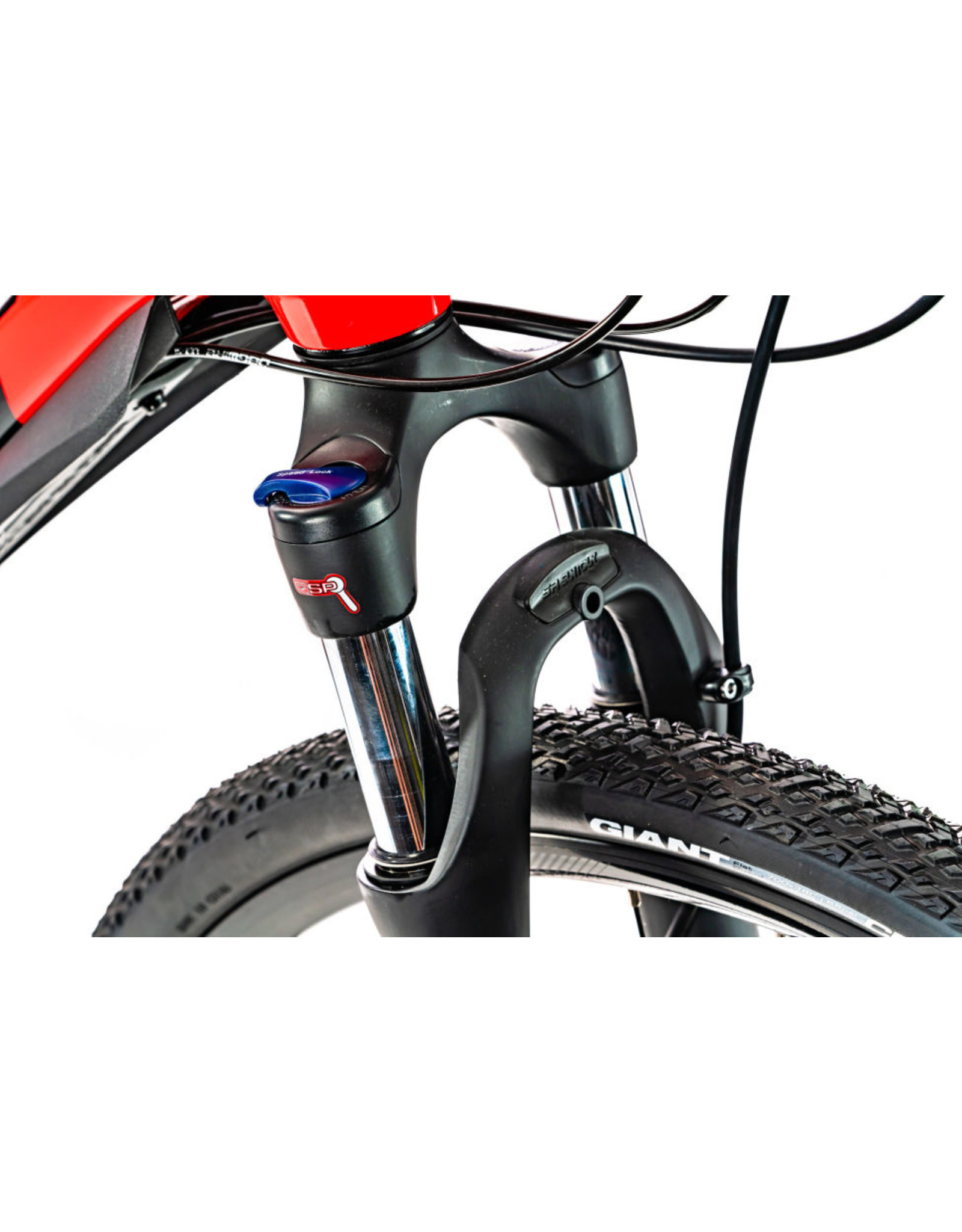 giant roam 4 disc 2020