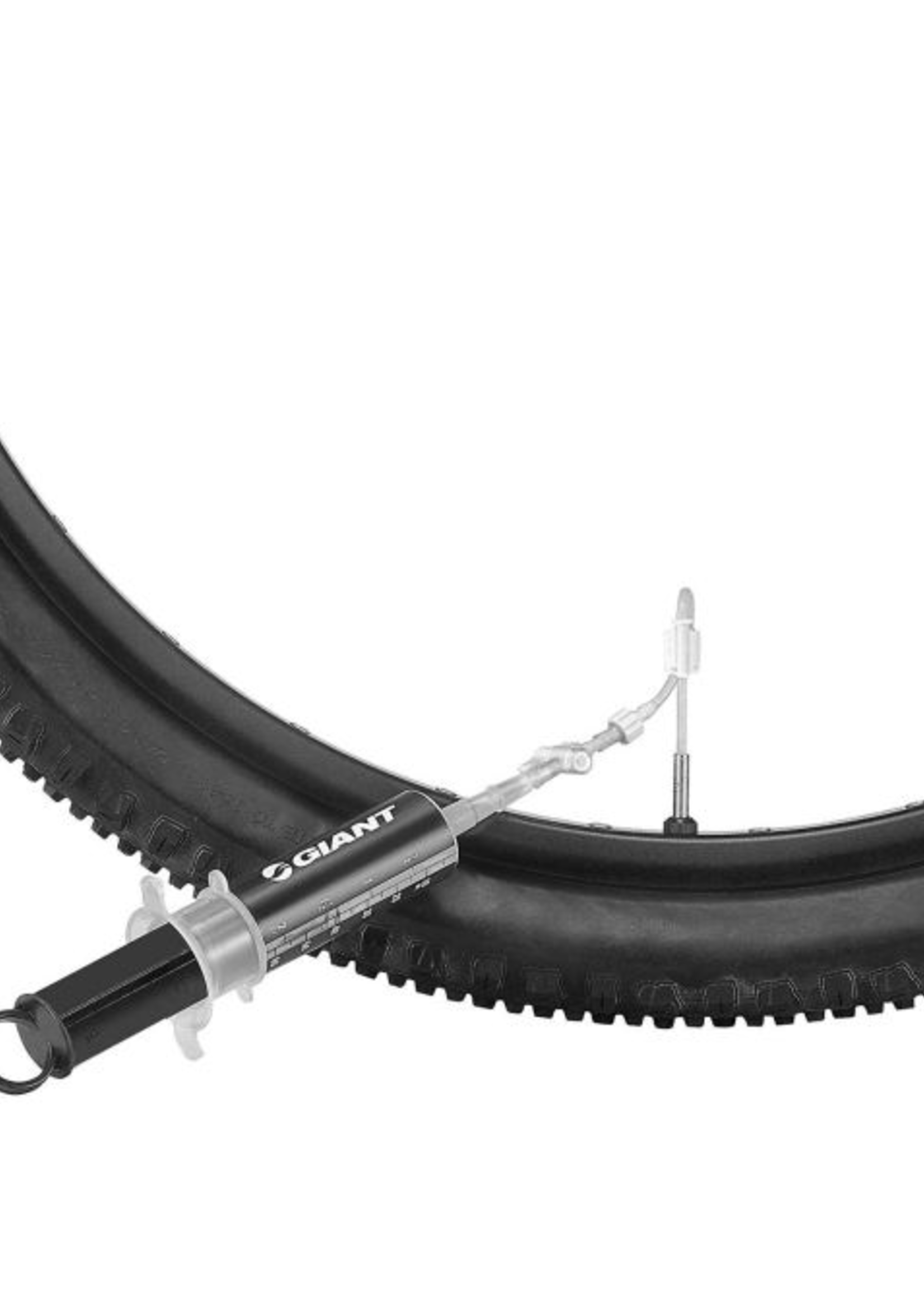 Giant Giant syringe for injection and sealant level verification