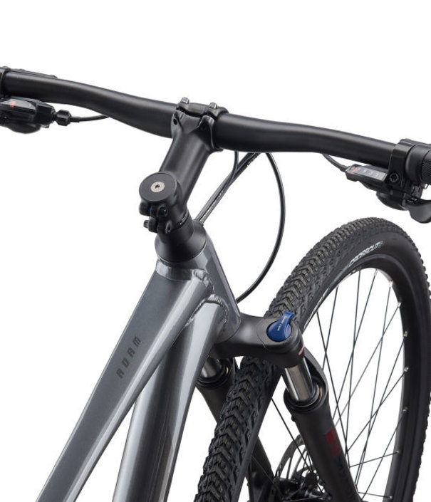 2021 Giant Roam 2 Disc - - Velozophie