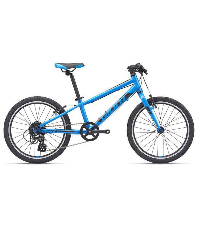 2022 Giant ARX 24 - - Velozophie