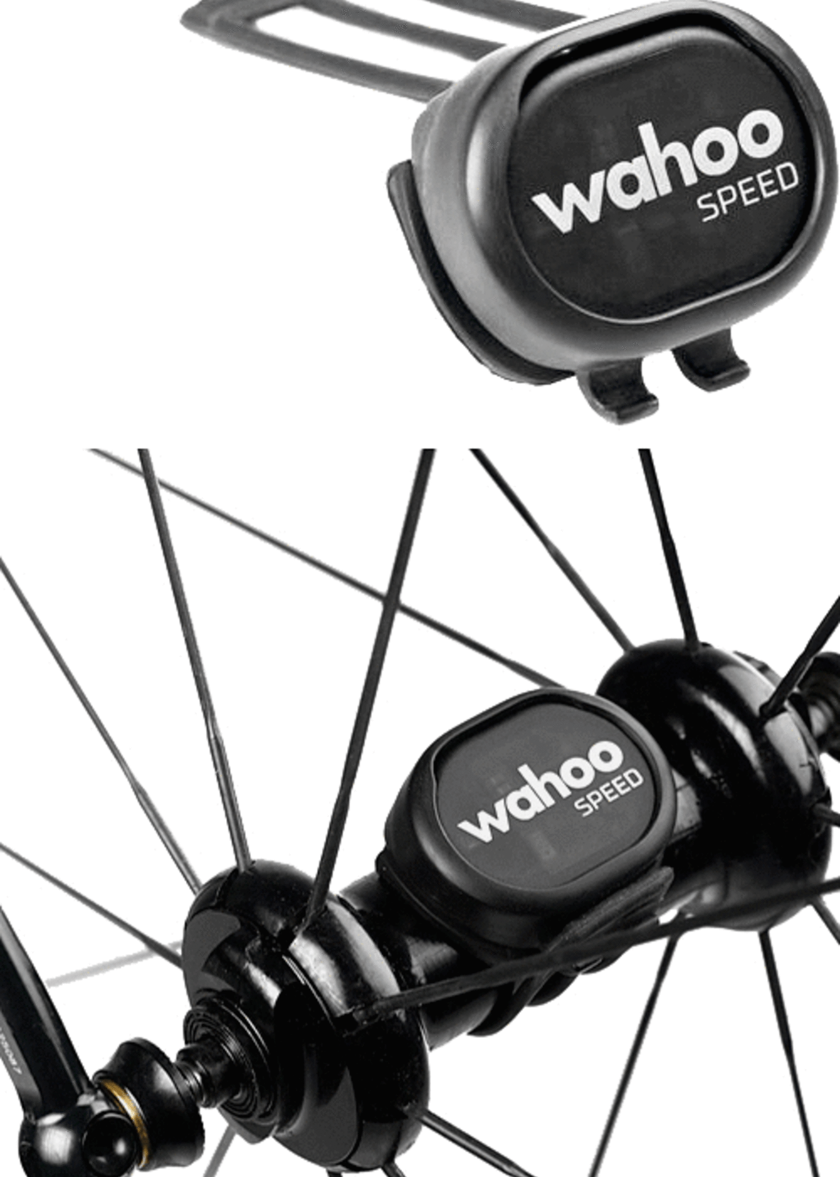 Wahoo RPM sensor on hub - Ant + and Bluetooth