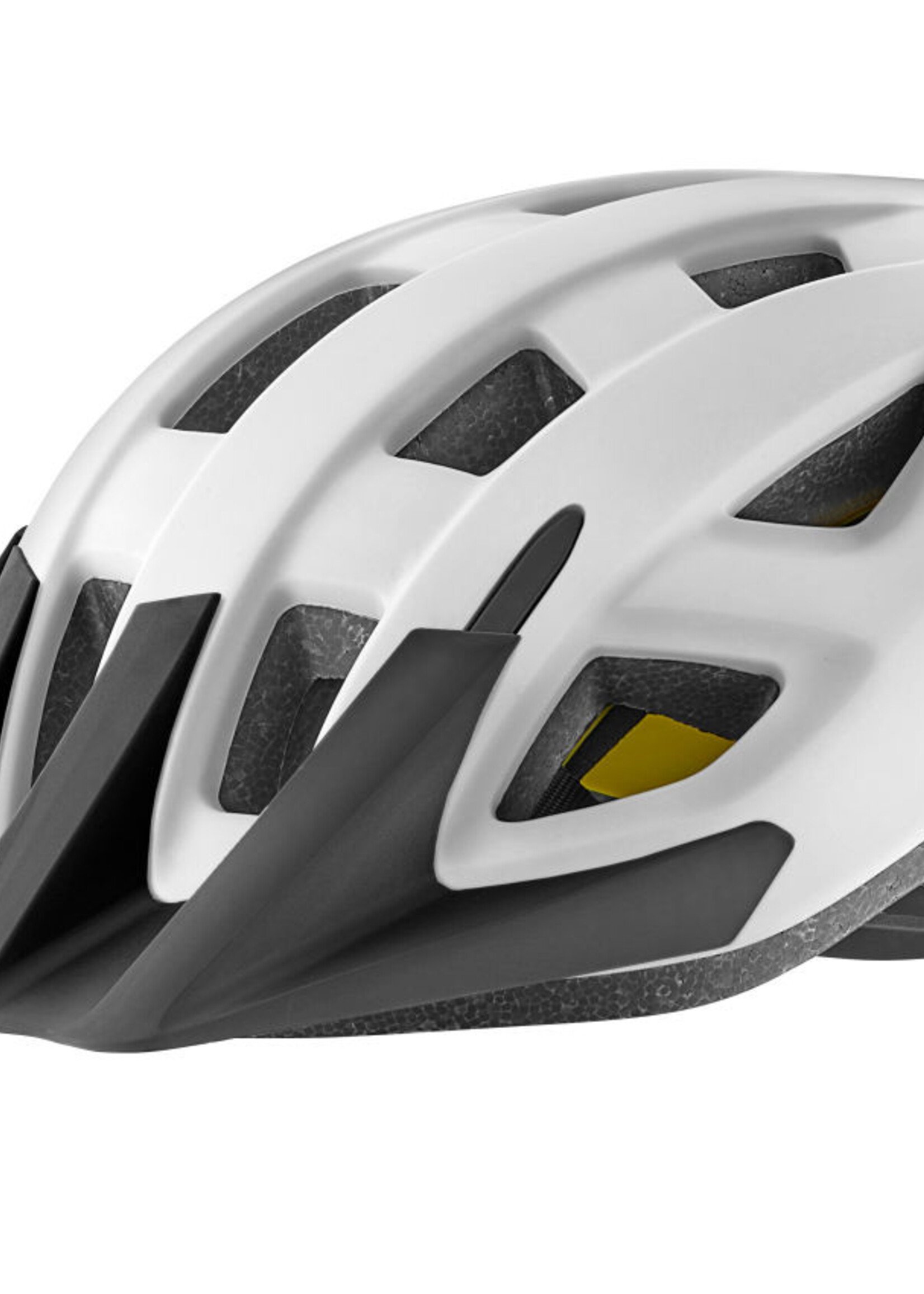 Giant Giant Path Mips Helmet