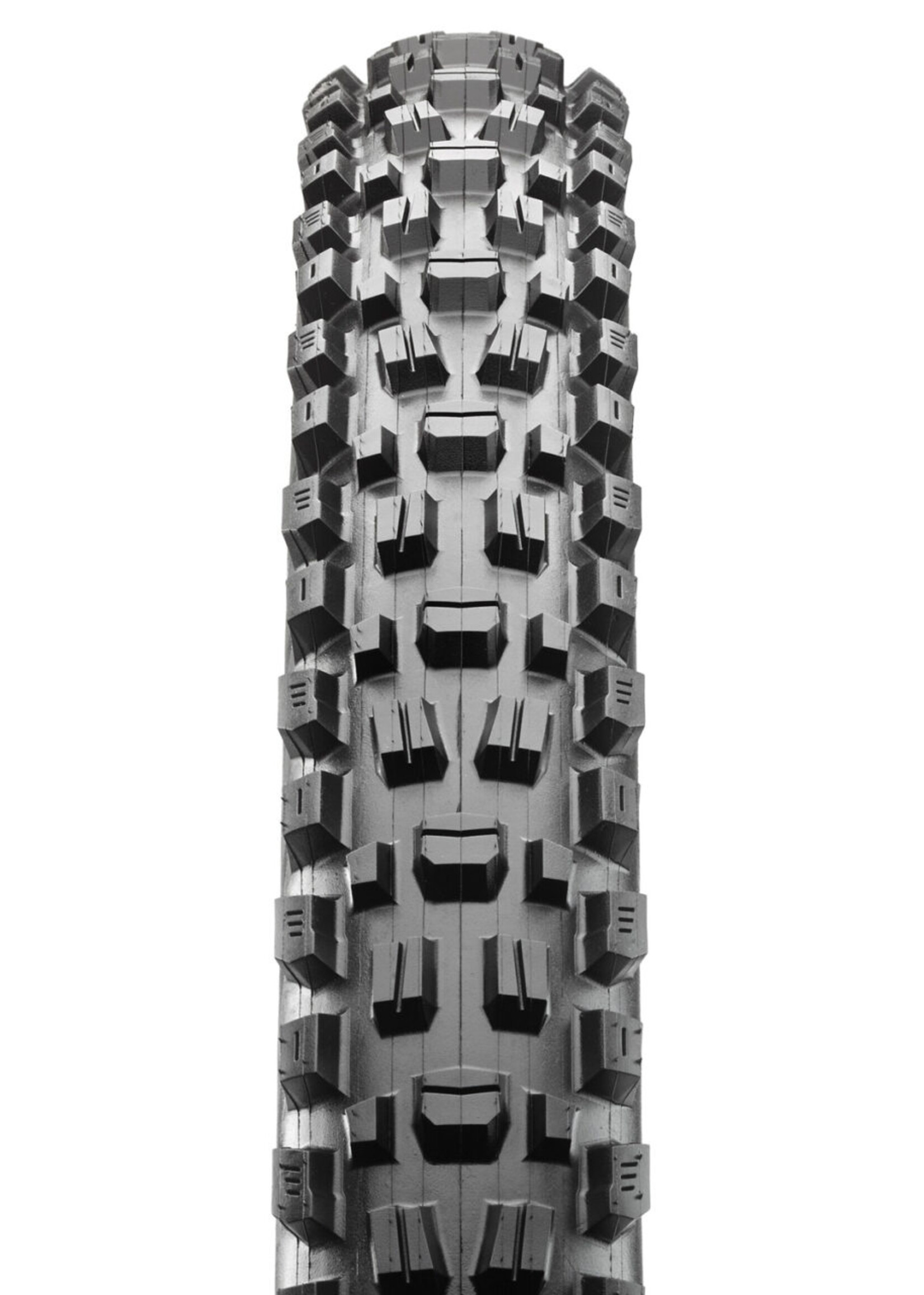 Maxxis Tire Assegai 27.5 x 2.5 3c MaxxTerra EXO Wide Trail TR