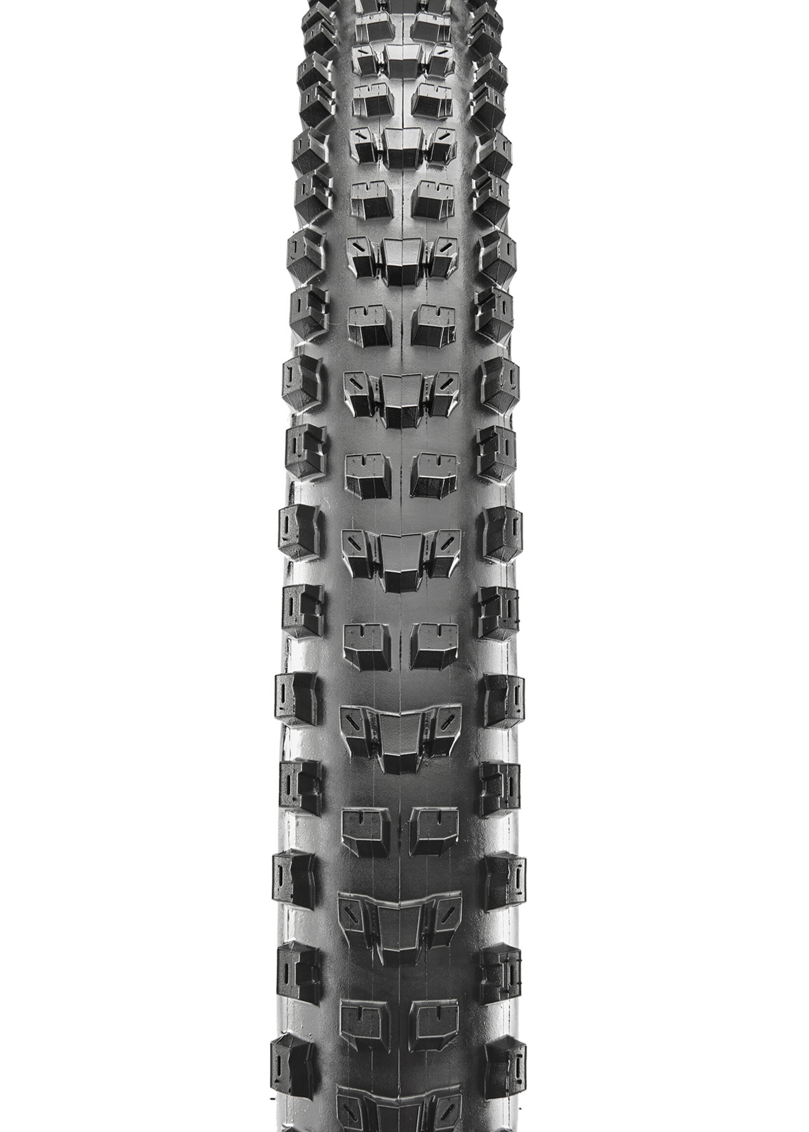 Pneu Maxxis Dissector 29 x 2.40 WT / EXO / 3C MaxxTerra / TR 60tpi