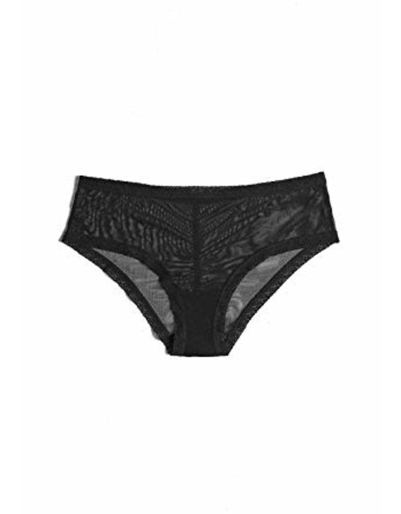 Mesh Net Lycra Daily Wear Panty Brief Laces at Rs 50/piece in New