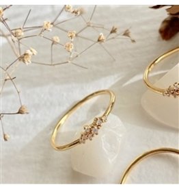 PIKA & BEAR ANDROMEDA VERMEIL RING