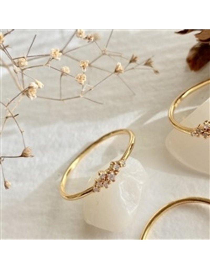 PIKA & BEAR ANDROMEDA VERMEIL RING