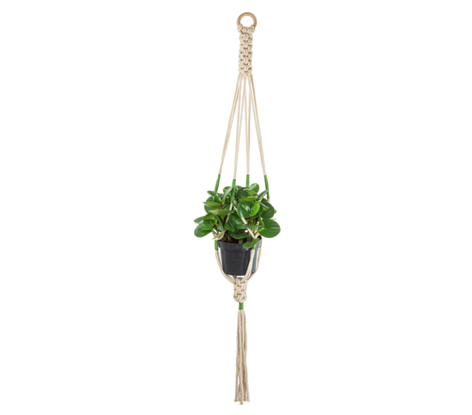 KNIT CROCHET PLANT HANGER - JACQ'Y JAYE'S BOUTIQUE & ESPRESSO BAR