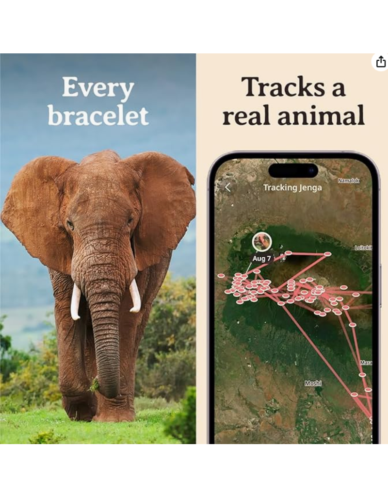 THE EXPEDITION BRACELET - ELEPHANT