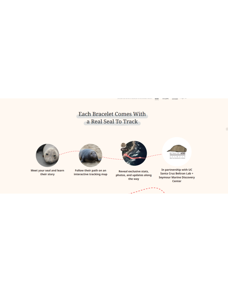 THE GLIDE BRACELET - SEAL