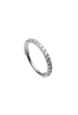 SEGMENT RING - TITANIUM - SIDE FACING GEM
