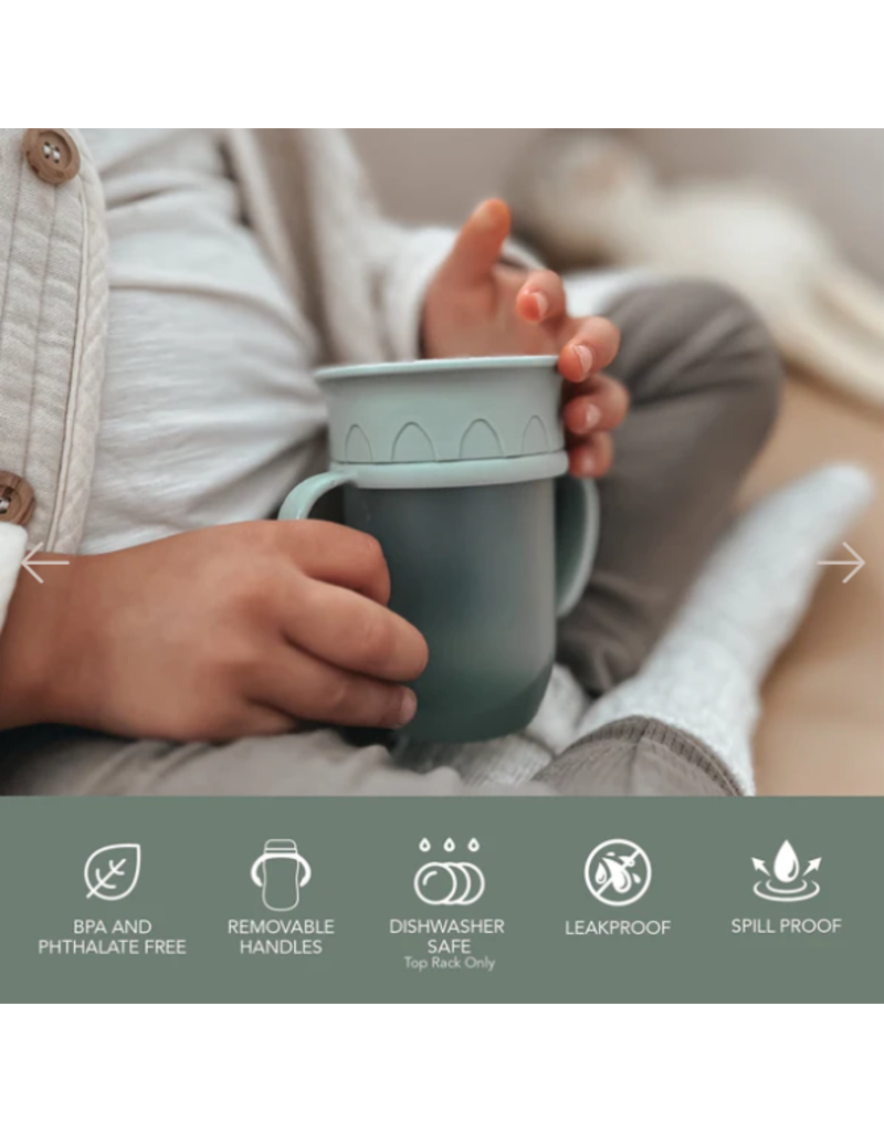 NOUKA ALL AROUND CUP