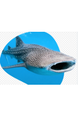 THE QUEST BRACELET - WHALE SHARK