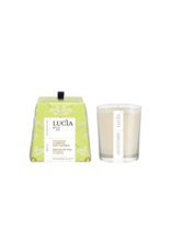 LUCIA CANDLE - 50 HRS