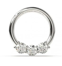 SEGMENT RING - HINGED JEWELLED -16 GAUGE
