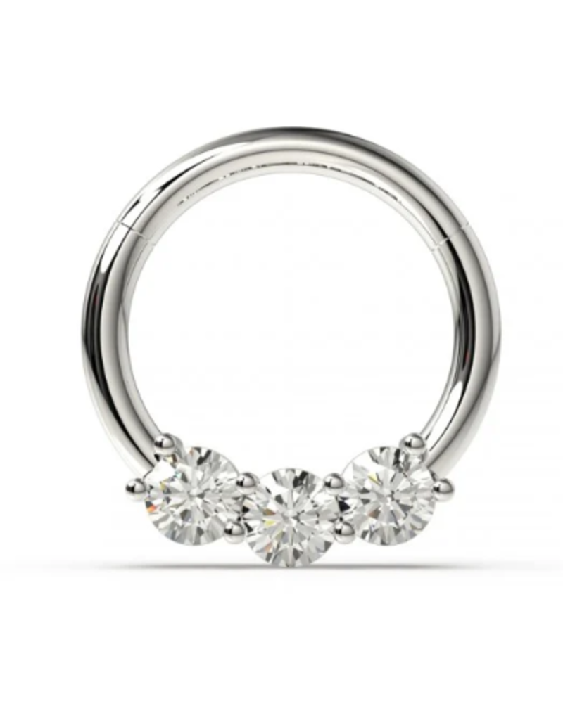SEGMENT RING - HINGED JEWELLED -16 GAUGE