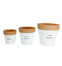 KOPPERS I WILL SURVIVE PLANTERS